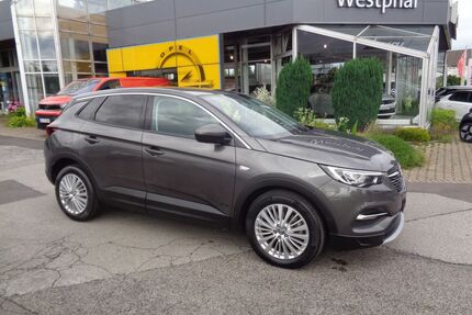 Opel Grandland (X) Gebrauchtwagen