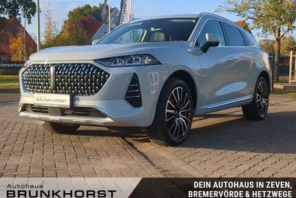 WEY Coffee 01 Gebrauchtwagen