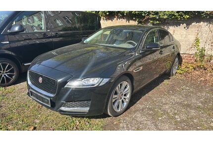 Jaguar XF Gebrauchtwagen