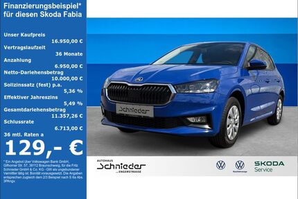 Skoda Fabia Gebrauchtwagen