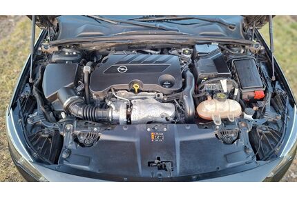 Opel Insignia Gebrauchtwagen