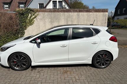Kia ceed / Ceed Gebrauchtwagen