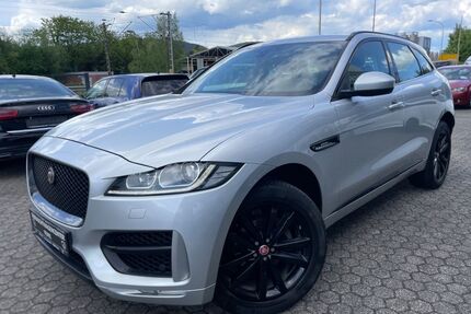 Jaguar F-Pace Gebrauchtwagen