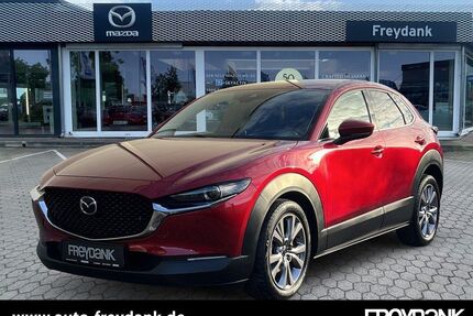 Mazda CX-30 Gebrauchtwagen