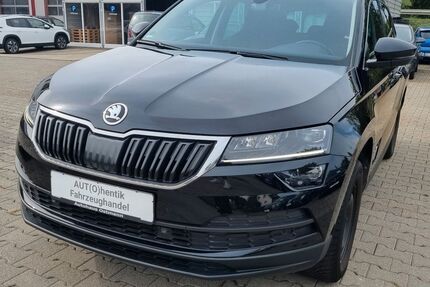 Skoda Karoq Gebrauchtwagen