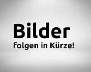 Ford Tourneo Courier Gebrauchtwagen