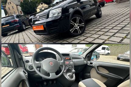 Fiat Panda Gebrauchtwagen