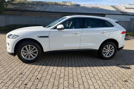 Jaguar F-Pace Gebrauchtwagen