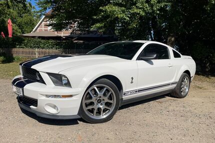 Ford Mustang Gebrauchtwagen