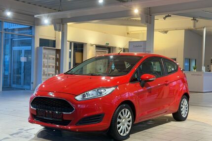 Ford Fiesta Gebrauchtwagen