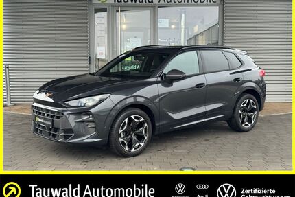 Cupra Terramar Gebrauchtwagen