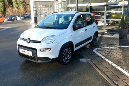 Fiat Panda Gebrauchtwagen
