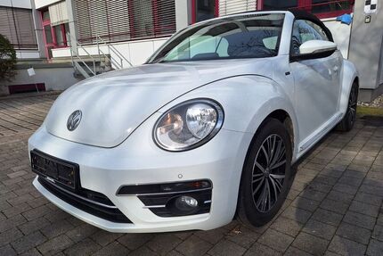 VW Beetle Gebrauchtwagen
