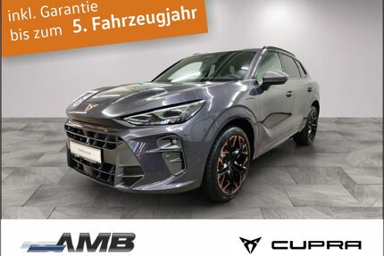 Cupra Terramar Gebrauchtwagen