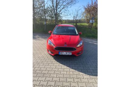 Ford Focus Gebrauchtwagen