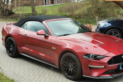 Ford Mustang Gebrauchtwagen