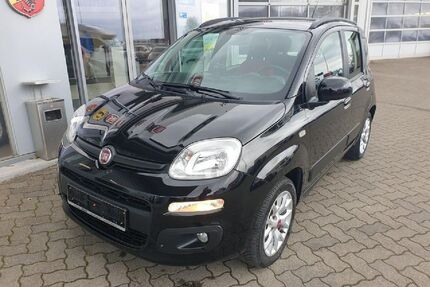 Fiat Panda Gebrauchtwagen