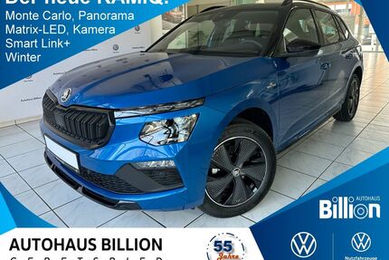 Skoda Kamiq Gebrauchtwagen
