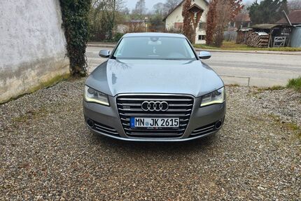 Audi A8 Gebrauchtwagen