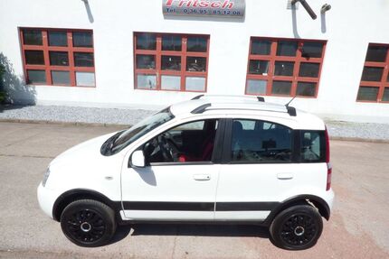 Fiat Panda Gebrauchtwagen