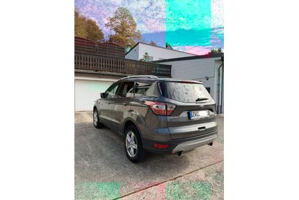 Ford Kuga Gebrauchtwagen