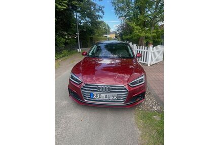 Audi A5 Gebrauchtwagen