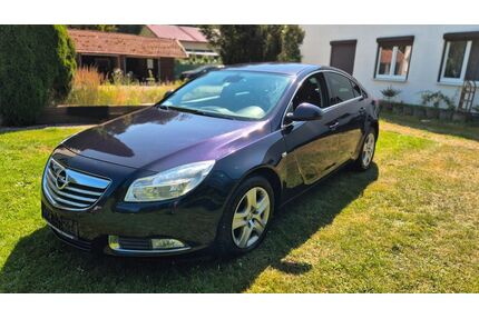 Opel Insignia Gebrauchtwagen
