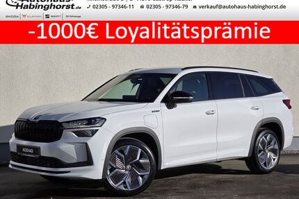 Skoda Kodiaq Gebrauchtwagen