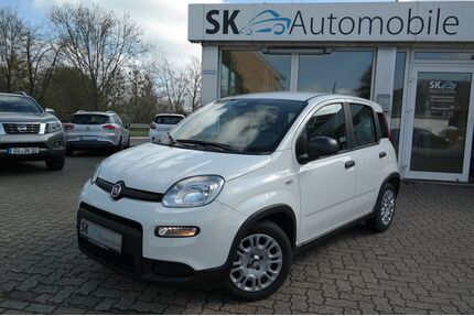 Fiat Panda Gebrauchtwagen