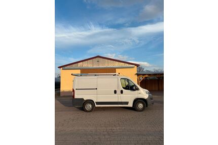 Fiat Ducato Gebrauchtwagen