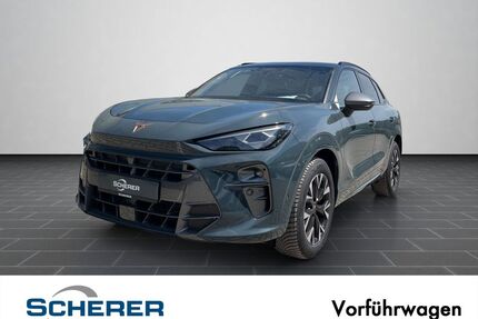 Cupra Terramar Gebrauchtwagen