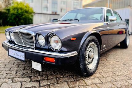Jaguar XJ12 Gebrauchtwagen