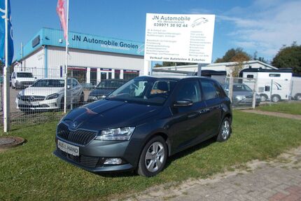 Skoda Fabia Gebrauchtwagen