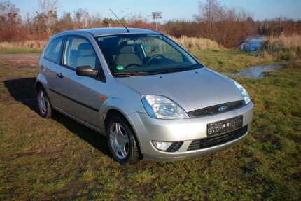 Ford Fiesta Gebrauchtwagen