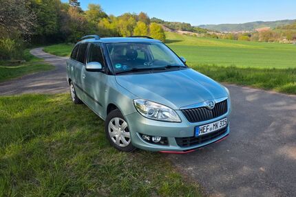 Skoda Fabia Gebrauchtwagen