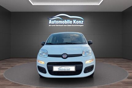 Fiat Panda Gebrauchtwagen