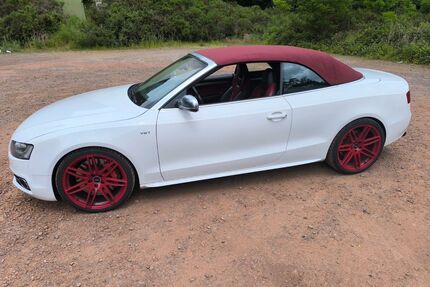 Audi S5 Gebrauchtwagen