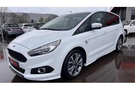 Ford S-Max Gebrauchtwagen