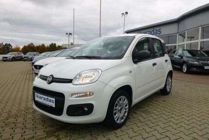 Fiat Panda Gebrauchtwagen
