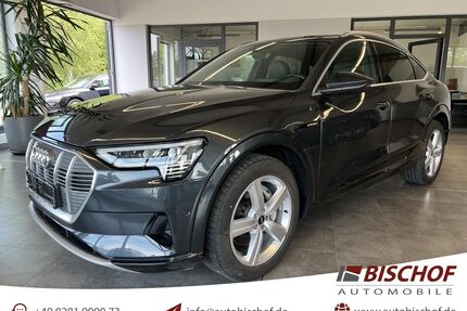 Audi e-tron Gebrauchtwagen