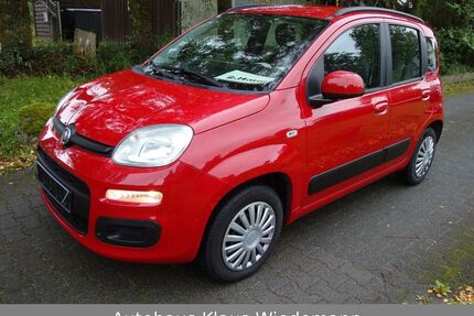 Fiat New Panda Gebrauchtwagen