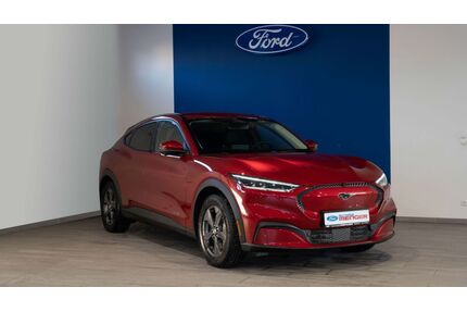 Ford Mustang Mach-E Gebrauchtwagen