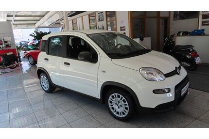 Fiat Andere Gebrauchtwagen