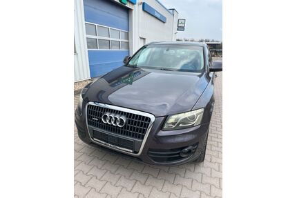 Audi Q5 Gebrauchtwagen