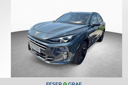 Cupra Terramar Gebrauchtwagen