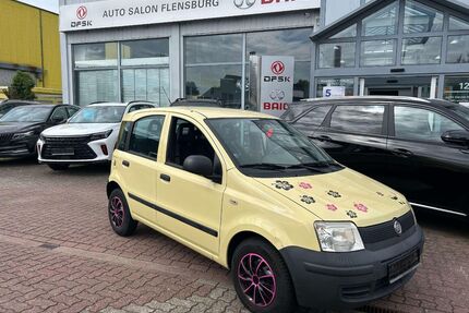 Fiat Panda Gebrauchtwagen