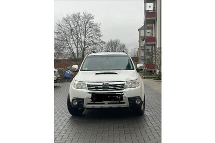 Subaru Forester Gebrauchtwagen