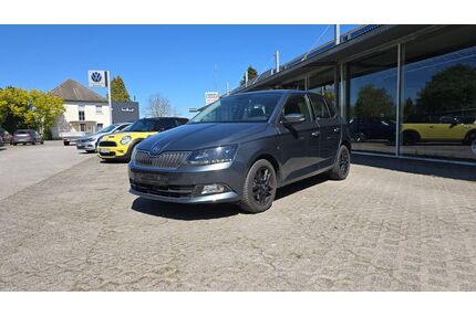 Skoda Fabia Gebrauchtwagen