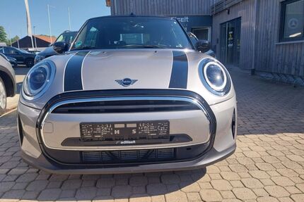Mini Cooper Cabrio Gebrauchtwagen