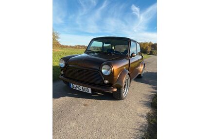 Austin Rover Andere Gebrauchtwagen